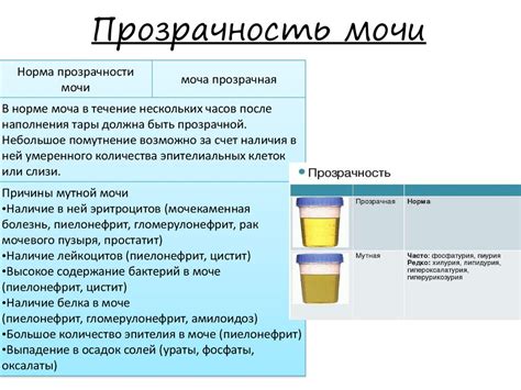 Нормы диуреза у взрослых: