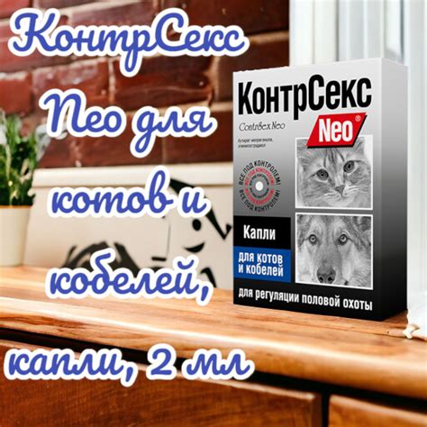 Нюансы, связанные с кастрацией кобелей и их поведением