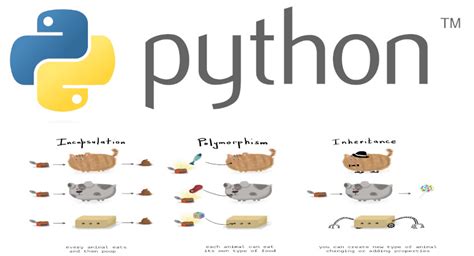 ООП в Python: принципы и особенности