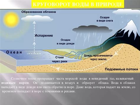 Обеспечение правильного круговорота воды в водоеме