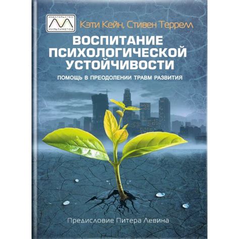 Обеспечение устойчивости книги