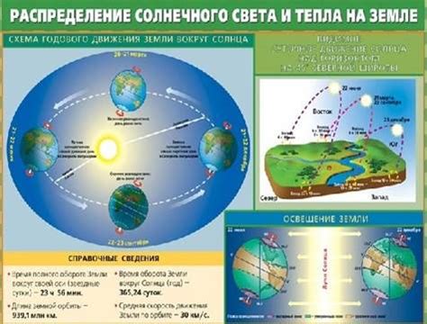 Обеспечить пиону больше солнечного света