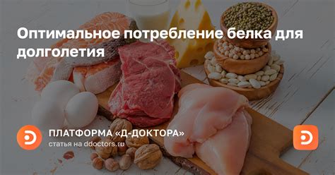 Обеспечьте достаточное потребление белка