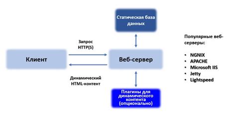 Обзор данных веб-сервера