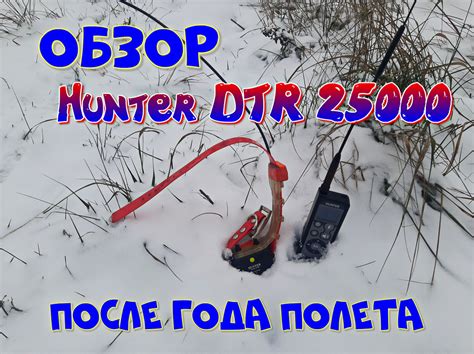 Обзор ноября 2022