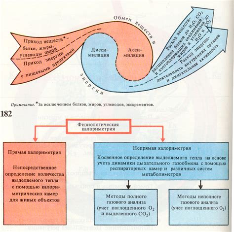 Обмен веществ и его значение для жизни