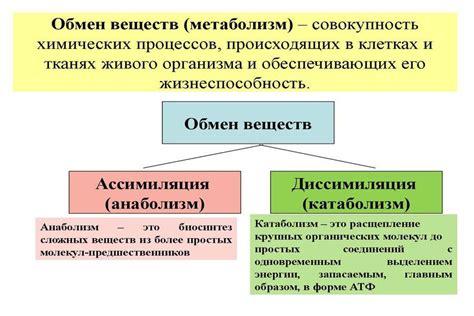 Обмен ионами в организме