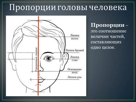 Обмер головы и создание основы