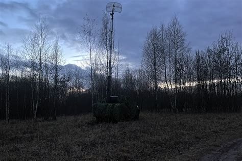 Обнаружение местоположения мицелиевого биома