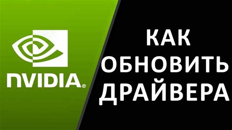 Обновление драйверов NVIDIA GeForce: подробный гайд