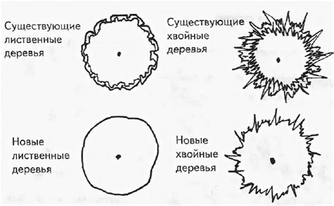 Обозначение веток