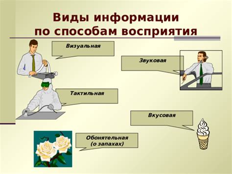 Обоняние: передача информации о запахах