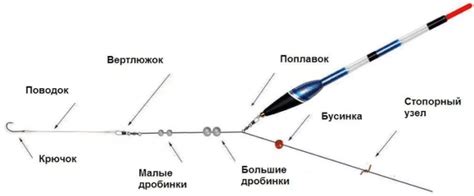 Оборудование для ловли карася: важные инструменты и снасти