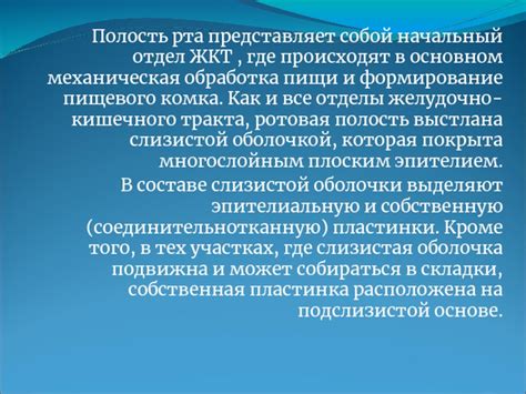 Обработка пищи в разных отделах системы