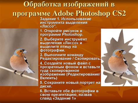 Обработка PNG изображений в Adobe Photoshop