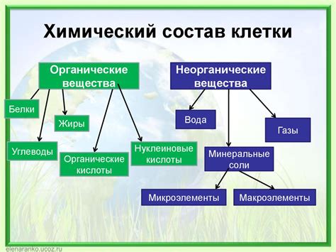 Образование и химический состав чреват "жгучими" последствиями