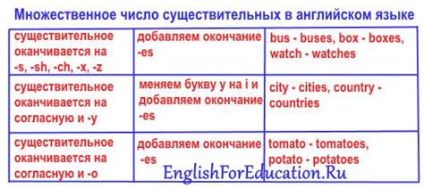 Образование множественного числа в английском языке