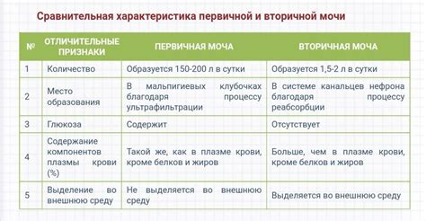 Образование первичной и вторичной радуги