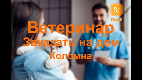 Обратитесь к ветеринару для консультации и ухода за здоровьем кенгуру