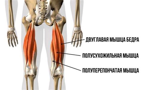 Обратитесь к специалистам для снижения объема на внешней части бедра