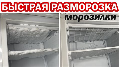 Обратная разморозка: как разморозить и использовать замороженную свеклу