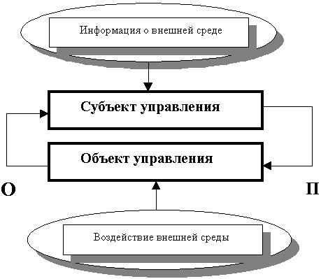 Обратные связи между сном и заживлением