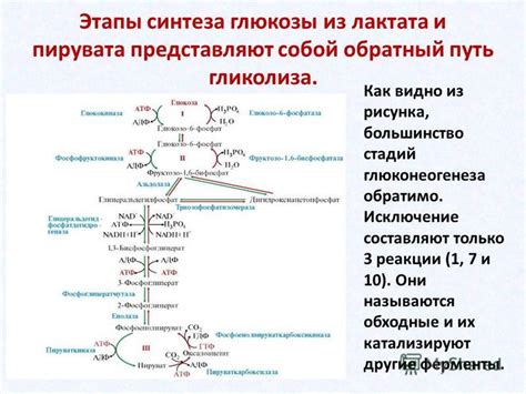 Обратный захват глюкозы и его значимость