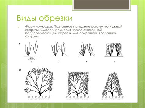 Обрезка для сохранения формы