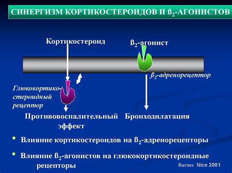 Обструктивный сонапноея: