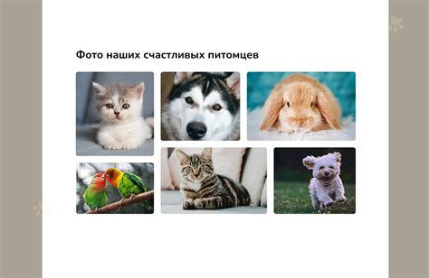 Обучайте уходу за животными