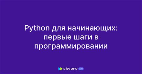 Обучение и первые шаги в программировании