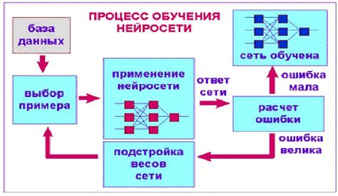 Обучение нейронной сети на размеченных данных