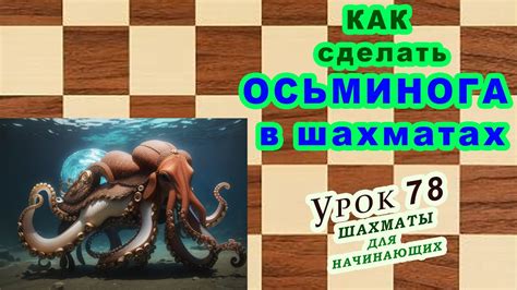 Обучение осьминога командам