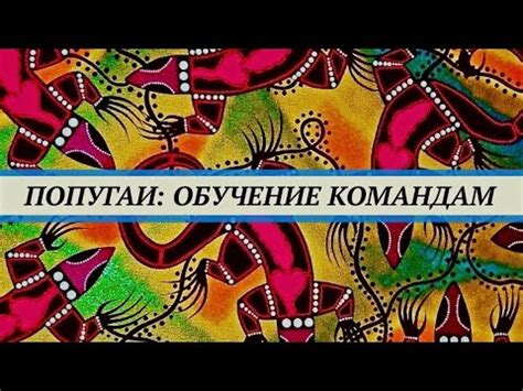 Обучение полезным командам и трюкам