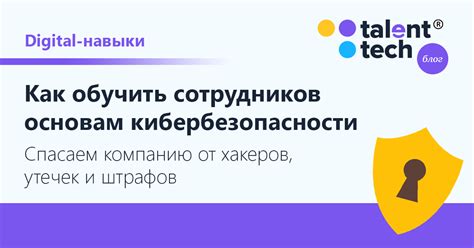 Обучение сотрудников основам безопасности данных