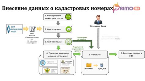 Общая информация о кадастровых номерах