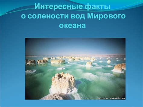 Общая информация о солености водных масс