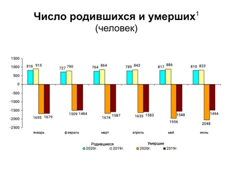 Общая статистика