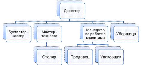 Общее руководство и организация