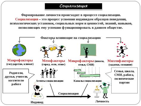 Общество и социализация: