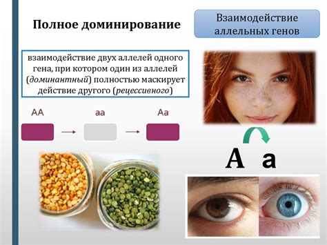 Общие генетические закономерности