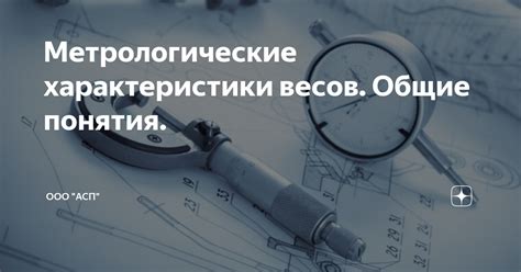 Общие характеристики влюбленных Весов и как с ними обращаться