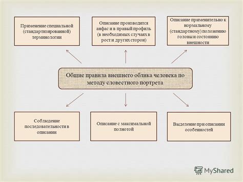 Общие черты внешнего облика