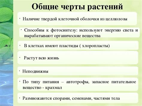 Общие черты и адаптивное значение