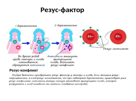 Общий фактор наследования