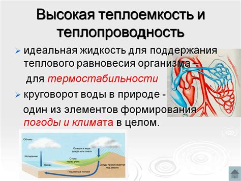 Объяснение 3: Теплопроводность и теплоемкость воды