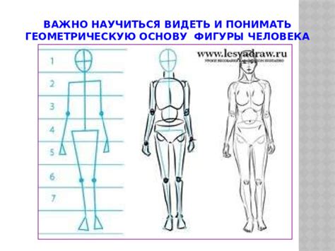 Объясните, как соединить фигуры и создать основу фигуры человека