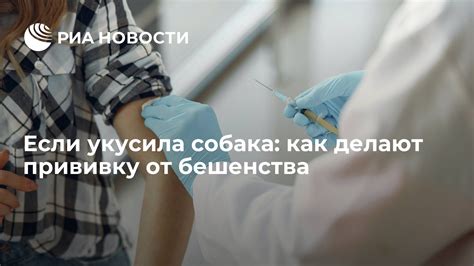 Обязана ли прививка от бешенства быть обязательной? Законодательные аспекты и ответственность.