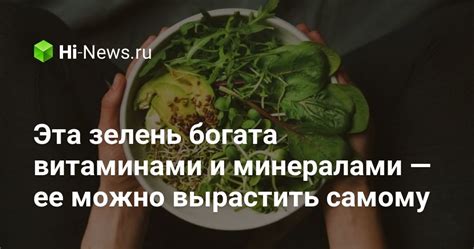 Овсянка богата витаминами и минералами