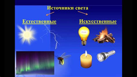 Огонь: основной источник тепла и света